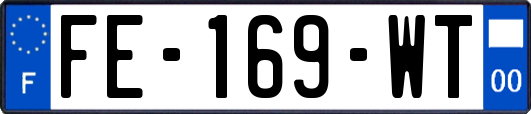FE-169-WT