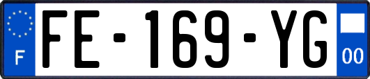 FE-169-YG