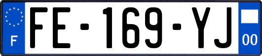 FE-169-YJ