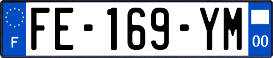 FE-169-YM