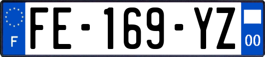 FE-169-YZ