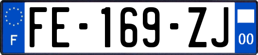 FE-169-ZJ