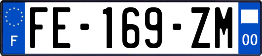 FE-169-ZM