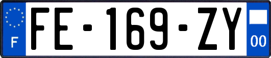 FE-169-ZY