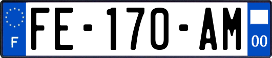 FE-170-AM