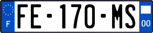 FE-170-MS