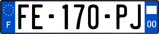 FE-170-PJ