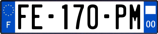 FE-170-PM