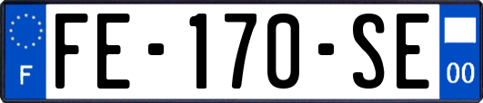 FE-170-SE