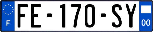 FE-170-SY