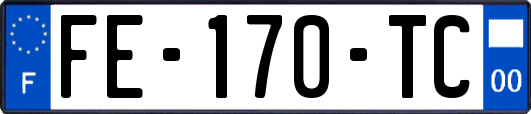 FE-170-TC
