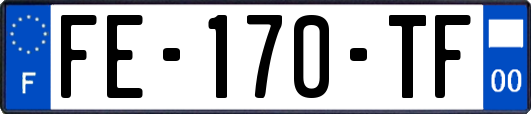 FE-170-TF