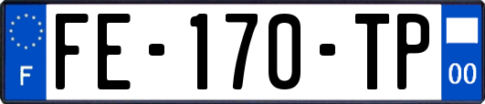 FE-170-TP
