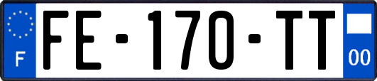 FE-170-TT
