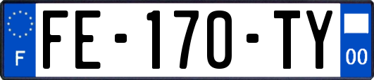 FE-170-TY