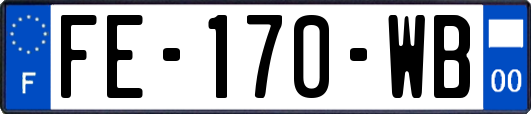 FE-170-WB
