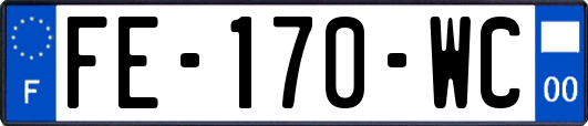 FE-170-WC