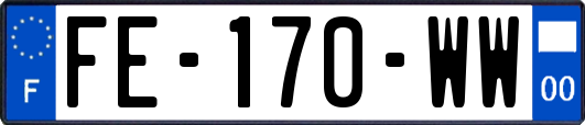 FE-170-WW