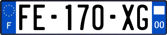 FE-170-XG