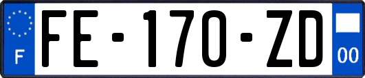 FE-170-ZD