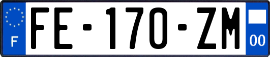 FE-170-ZM