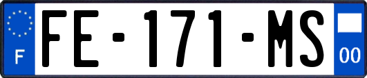 FE-171-MS