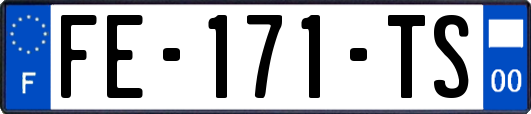 FE-171-TS