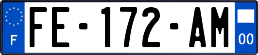 FE-172-AM