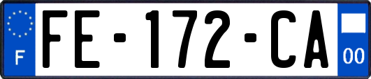 FE-172-CA