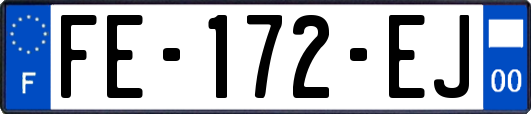 FE-172-EJ