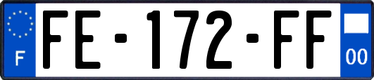 FE-172-FF