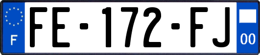 FE-172-FJ