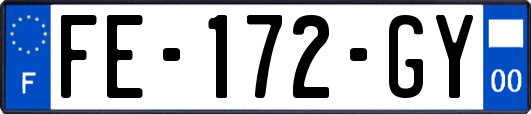 FE-172-GY