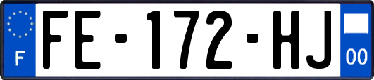 FE-172-HJ