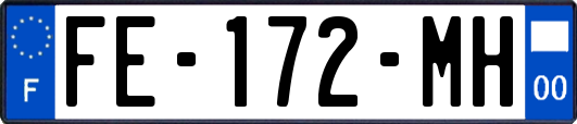 FE-172-MH