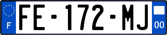 FE-172-MJ