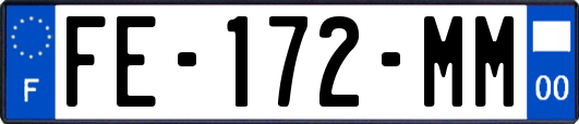 FE-172-MM