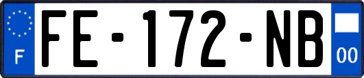 FE-172-NB