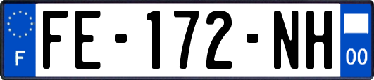 FE-172-NH