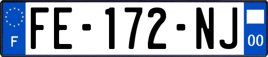 FE-172-NJ