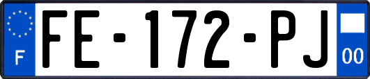 FE-172-PJ