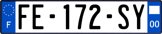 FE-172-SY