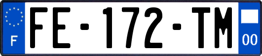 FE-172-TM