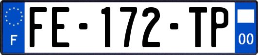 FE-172-TP