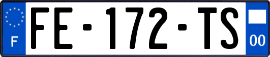 FE-172-TS