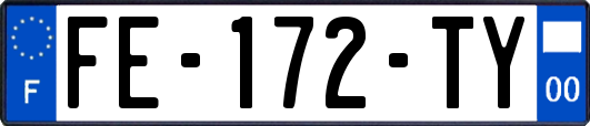 FE-172-TY