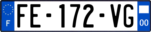 FE-172-VG
