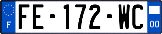 FE-172-WC