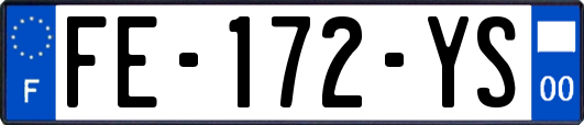 FE-172-YS