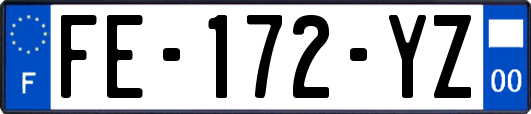 FE-172-YZ